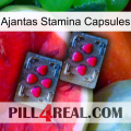 Ajantas Stamina Capsules 14